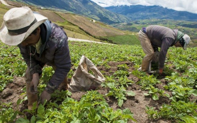 Piden informe sobre la construcción de la política pública para garantizar derechos de los campesinos