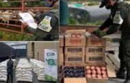 Incautan más de $ 141 millones en productos agropecuarios de contrabando