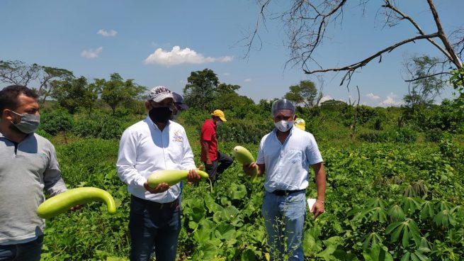Fortalecimiento al sector agropecuario, apuesta del Alcalde de Bosconia