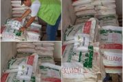 En el Cesar, sal mineralizada sellada por no cumplir con requisitos del ICA