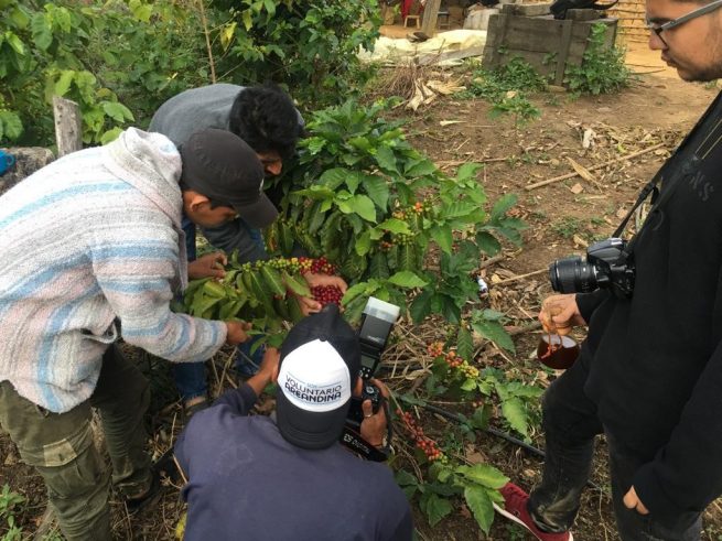 Kuma, la marca de café Kankuamo cuya identidad gráfica estuvo a cargo de estudiantes de Areandina