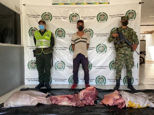 Capturado por abigeato en Agustín Codazzi