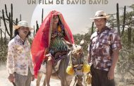Docente de Diseño Gráfico de Areandina, nominado en cinco festivales internacionales de cine