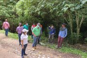 Denuncia por tala de árboles en zona rural de La Jagua de Ibirico fue atendida por Corpocesar