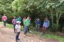 Denuncia por tala de árboles en zona rural de La Jagua de Ibirico fue atendida por Corpocesar