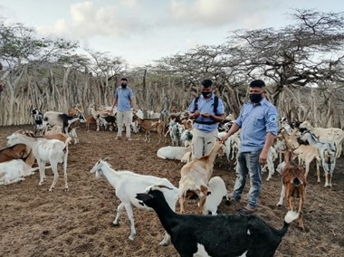 Agrosavia firmó convenio para desarrollar estrategias de uso sostenible de la biodiversidad en la Alta Guajira