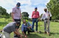Con sistemas agroforestales, conservarán áreas de la quebrada Buturama (Aguachica)