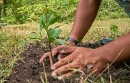 Corpocesar lanza campaña para crear cultura ambiental sostenible en la comunidad
