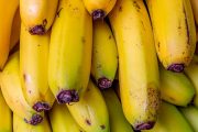 El ICA invita al curso internacional de prevención del Fusarium R4T