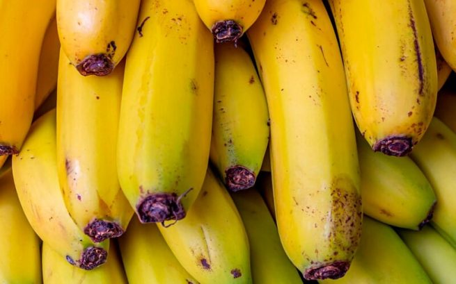El ICA invita al curso internacional de prevención del Fusarium R4T