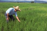 Sena y Finagro unidos para potencializar la educación financiera del campo colombiano