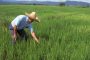 Sena y Finagro unidos para potencializar la educación financiera del campo colombiano