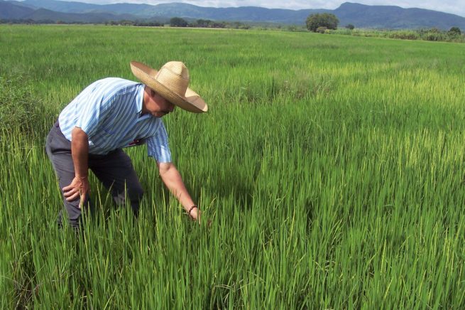 Sena y Finagro unidos para potencializar la educación financiera del campo colombiano