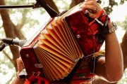 22 acordeoneros profesionales se inscribieron para el 53° Festival de la Leyenda Vallenata Virtual