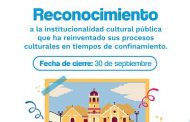 Estímulos a instancias gubernamentales que reinventaron la oferta cultural durante la emergencia