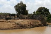 Enel Green Power realizó la primera consulta previa semipresencial del país en La Guajira