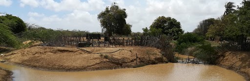 Enel Green Power realizó la primera consulta previa semipresencial del país en La Guajira