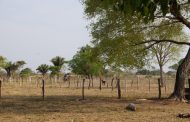 Entregan predio a víctima y compensación a opositor en proceso de restitución de tierras en Valledupar
