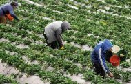 Ponen en marcha Línea Especial de Crédito ‘El Campo Avanza’