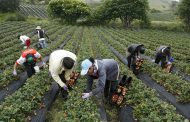 Gobierno lanza línea de crédito por $ 500 mil millones para pequeños productores rurales