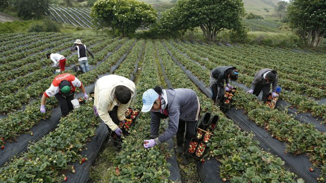 Gobierno lanza línea de crédito por $ 500 mil millones para pequeños productores rurales