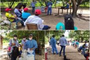 Productores del Cesar aprenden sobre el control del picudo en la palma de aceite