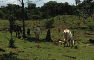 Reglamentado nuevo Subsidio Integral de Acceso a Tierras (SIAT)