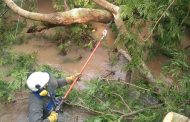 Tras vendaval, Afinia restablece servicio eléctrico en zona rural en Curumaní y Chimichagua