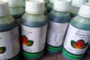 A través de convenio se optimizan los servicios y racionalizan los trámites del agro y la agroindustria