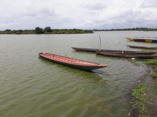Las acciones que ha adelantado Corpocesar para recuperar la Ciénaga de Zapatosa