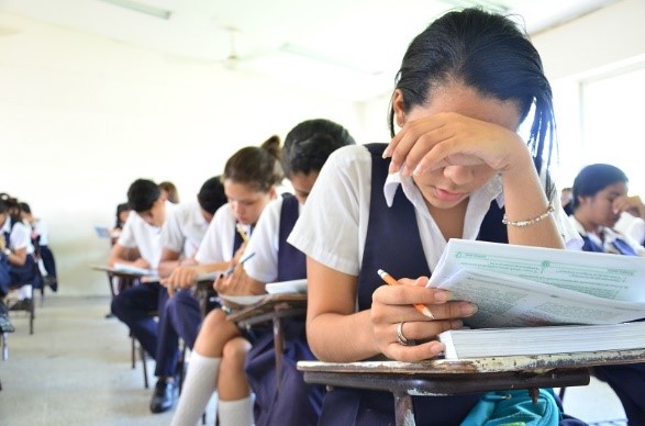 Según encuesta, el 87,4 % de los hogares continuaron las actividades educativas o de aprendizaje desde la pandemia