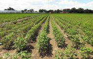 Andi, Fenalco y Acodres se suman a la estrategia de Agricultura por Contrato