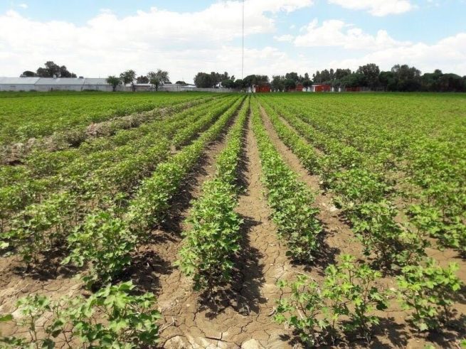 Andi, Fenalco y Acodres se suman a la estrategia de Agricultura por Contrato