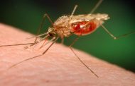 Colombia continúa su lucha contra la malaria