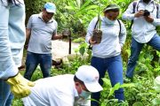 Comfacesar lidera campaña de reforestación en municipios del norte del Cesar