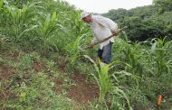 Aprobado en primer debate el proyecto de Ley de alivios financieros para pequeños y medianos productores del campo