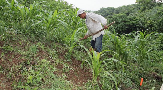 Aprobado en primer debate el proyecto de Ley de alivios financieros para pequeños y medianos productores del campo