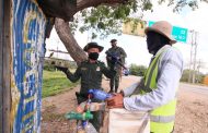 En el Cesar han sido incautados 67 individuos de fauna silvestre