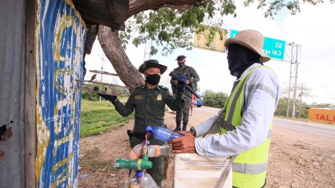 En el Cesar han sido incautados 67 individuos de fauna silvestre