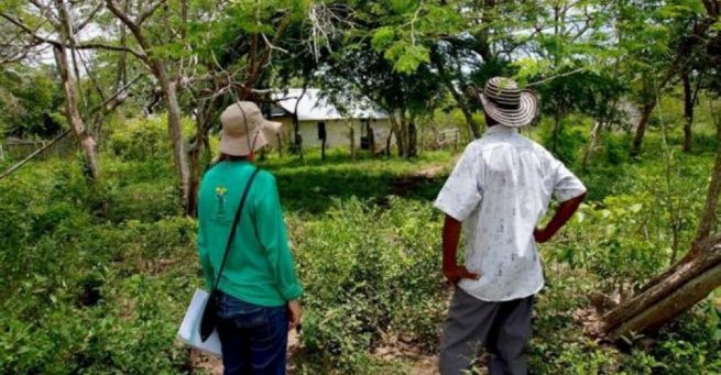 Toman medidas frente a recomendaciones de Informe de Comisión de Seguimiento y Monitoreo a Ley de Víctimas y Restitución de Tierras