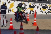Creada Red de Observatorios Territoriales de Seguridad Vial para fortalecer el trabajo en las regiones
