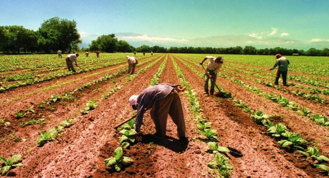 Más de 200.000 pequeños y medianos productores podrán renegociar sus deudas