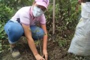 Reforestación con sentido comunitario en la Quebrada Moreno (La Guajira)