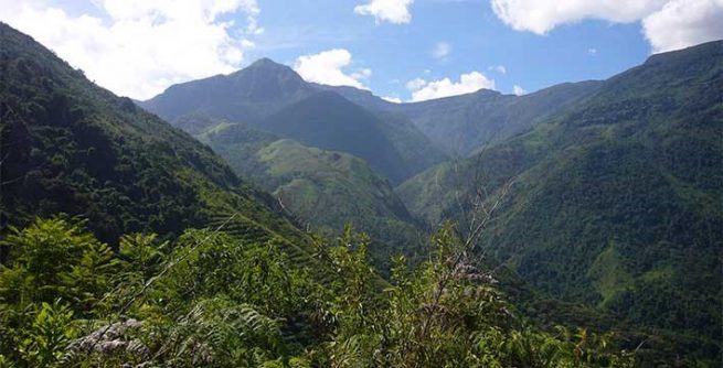 La Guajira cuenta con nueva área protegida en la Serranía de Perijá