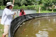 Con asesoría del Sena, comunidad Wiwa cultiva peces como alternativa alimentaria