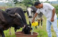 El Sena contribuye a la construcción de una paz con legalidad en municipios PDET