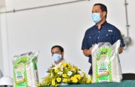 El compromiso de Monsalvo con los arroceros del Cesar