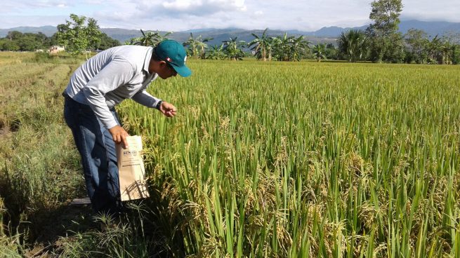 Beneficios tributarios apalancan 50 % más de inversiones en CTeI en el 2020