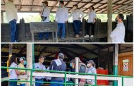 Colombia trabaja en la reapertura del mercado peruano para bovinos y porcinos