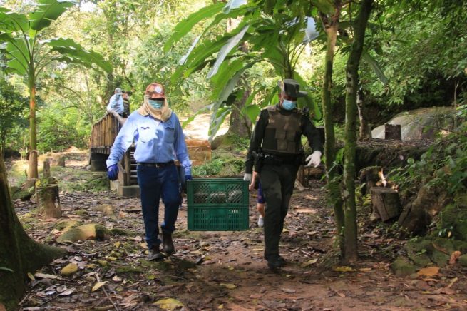 Regresan a su hábitat a 31 especies en el Cesar